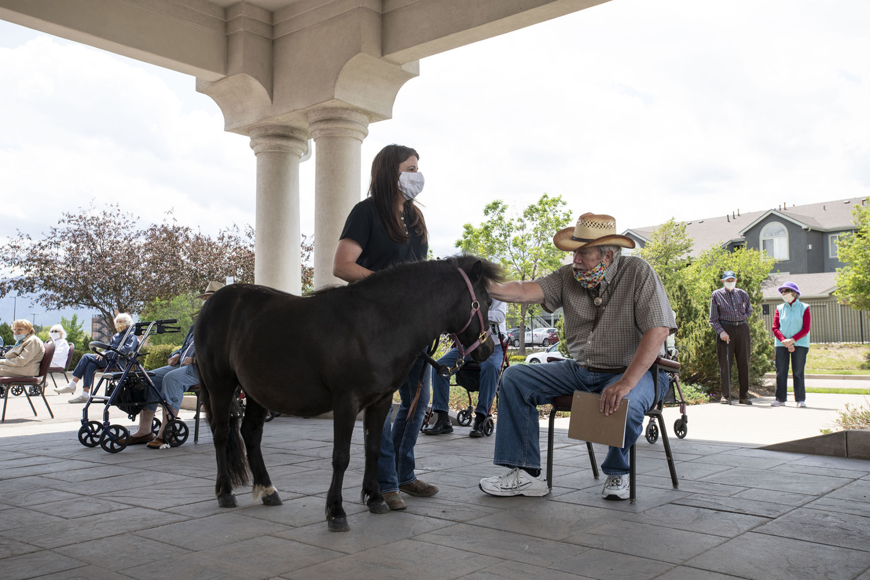 053020-news-minihorses 11.jpg